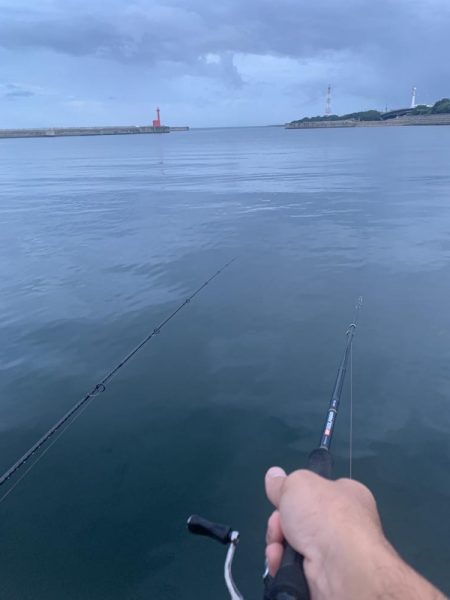 【過酷】エサなしサビキ