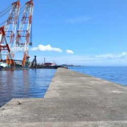 播磨新島釣行25