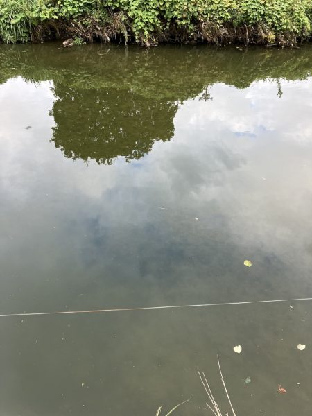 デイ見えナマズ56cm