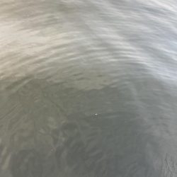 ⭐︎1センチの壁