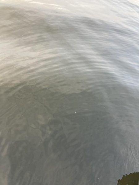 ⭐︎1センチの壁