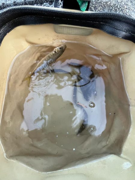 渋い人マシマシ!