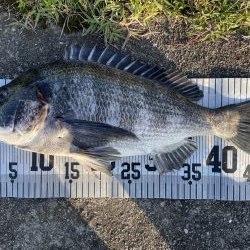 イチノ兄弟、釣果！