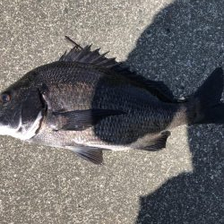 イチノ兄弟、釣果!