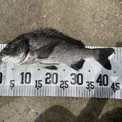 イチノ兄弟、釣果!