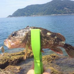 あまり釣れませんでした