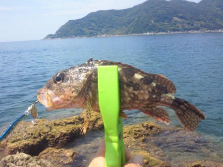 あまり釣れませんでした