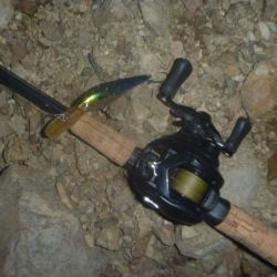 連休ラストバス