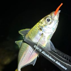 南大阪フロートゲーム