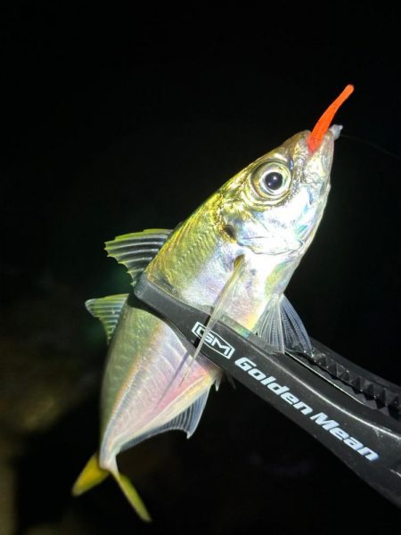 南大阪フロートゲーム