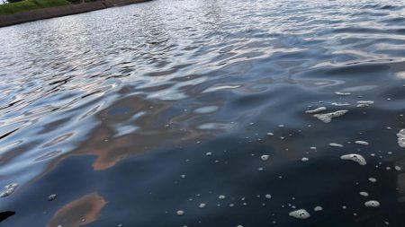 高水温の時はマゴチ率高め!!