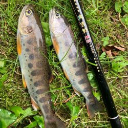 盆明けの避暑と竿新調