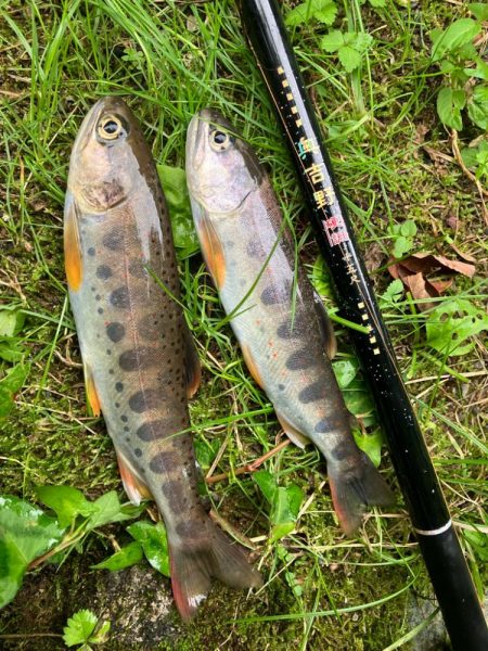 盆明けの避暑と竿新調