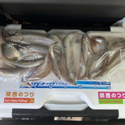 ちょい投げキス釣り