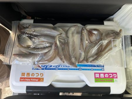 ちょい投げキス釣り