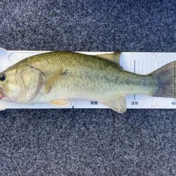 1日ボート釣行！