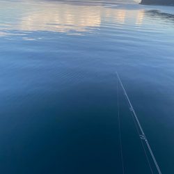 真夏のショアジギング