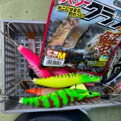 今シーズンラスト蛸