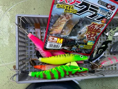 今シーズンラスト蛸