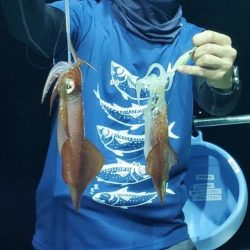 ぼちぼちイカメタル