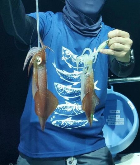 ぼちぼちイカメタル