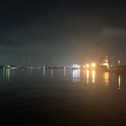 初めてのタコ釣り