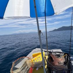 真夏のアマダイ釣行!