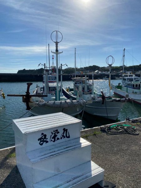 まだまだ暑いイカメタル