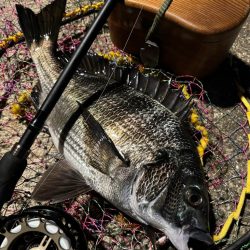 ヘチってきました