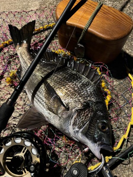 ヘチってきました