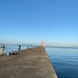 トップウォーター最高!