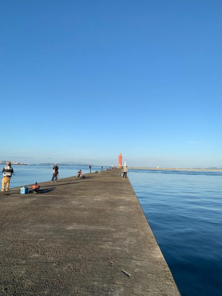 トップウォーター最高!