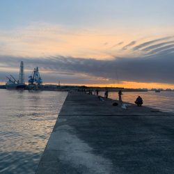 今日は渋めチヌトップ