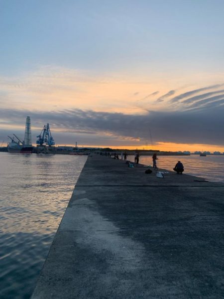 今日は渋めチヌトップ