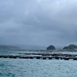 南紀ぶっ込み釣り