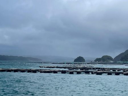 南紀ぶっ込み釣り