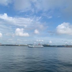 チヌはまだいます。