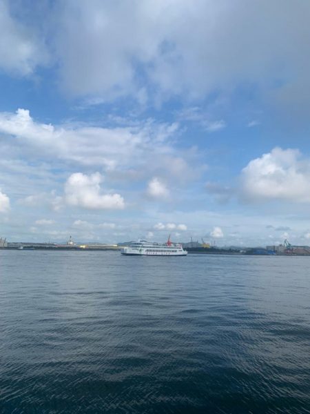 チヌはまだいます。