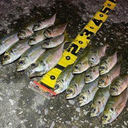 爆風シャロー攻略