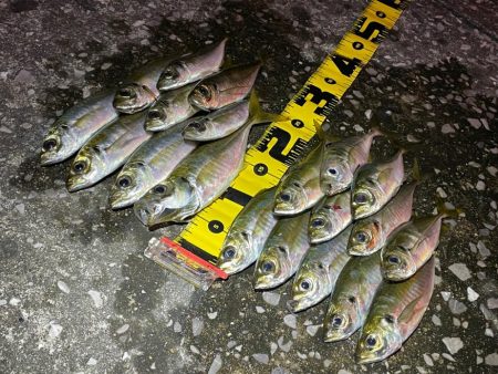 爆風シャロー攻略