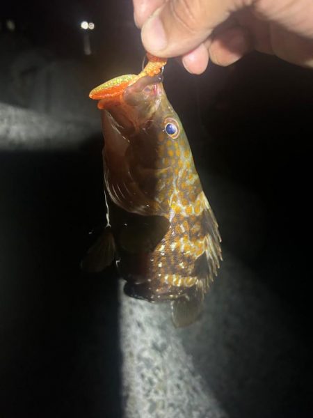 ライトロックゲーム