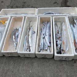 洲本沖のタチウオ