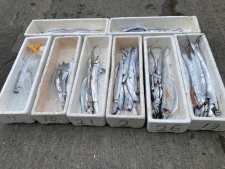 洲本沖のタチウオ