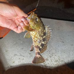 ツライトゲーム