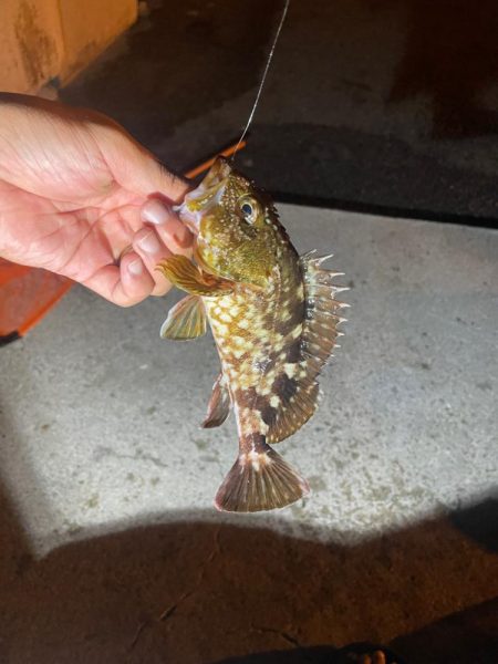 ツライトゲーム