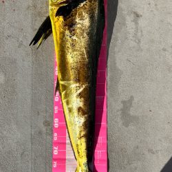 初オフショアキャスティング