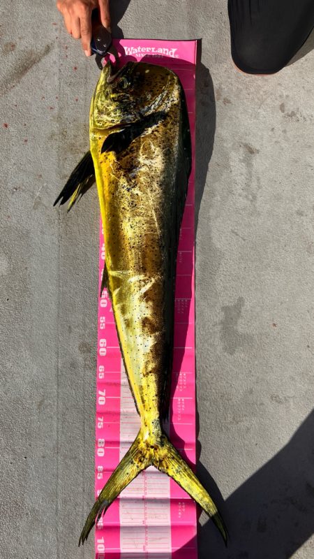 初オフショアキャスティング