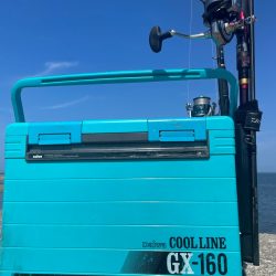 ドハマり中‼️