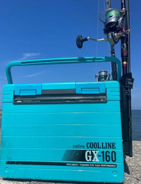 ドハマり中‼️