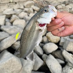 猛暑日で釣りは大変